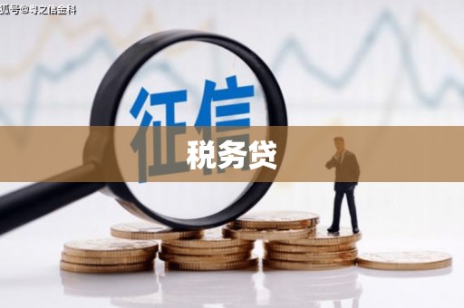 徐闻税务贷