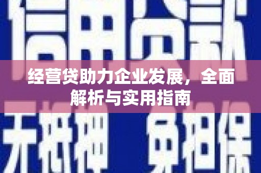 徐闻经营贷助力企业发展，全面解析与实用指南