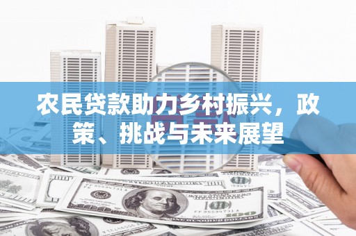 徐闻农民贷款助力乡村振兴，政策、挑战与未来展望