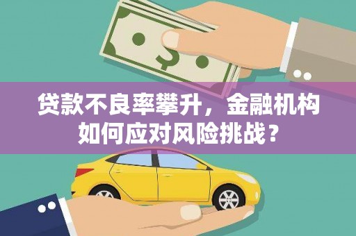 徐闻贷款不良率攀升，金融机构如何应对风险挑战？