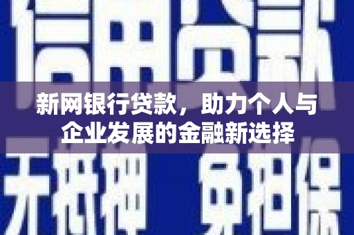徐闻新网银行贷款，助力个人与企业发展的金融新选择