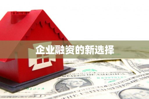 徐闻企业融资的新选择