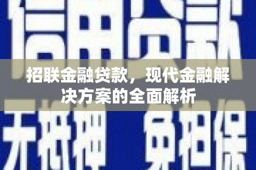 徐闻招联金融贷款，现代金融解决方案的全面解析