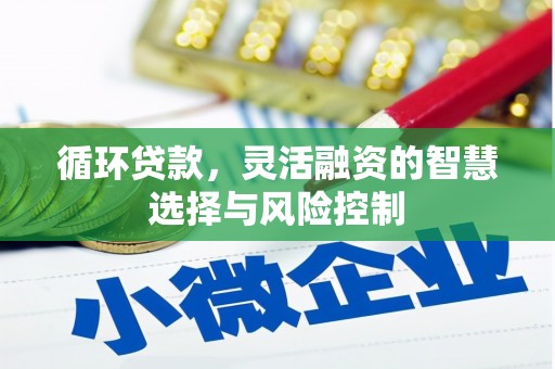 徐闻循环贷款，灵活融资的智慧选择与风险控制
