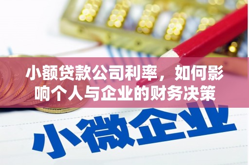 徐闻小额贷款公司利率，如何影响个人与企业的财务决策