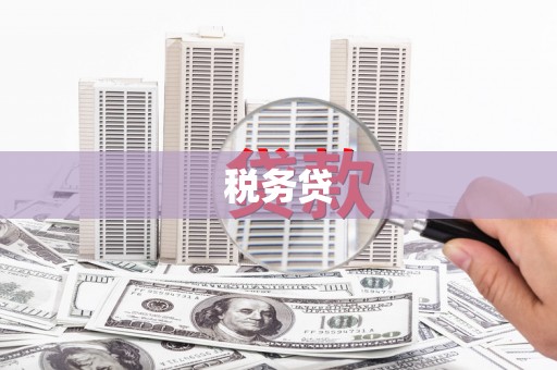 徐闻税务贷