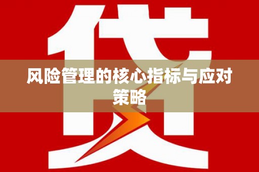 徐闻风险管理的核心指标与应对策略
