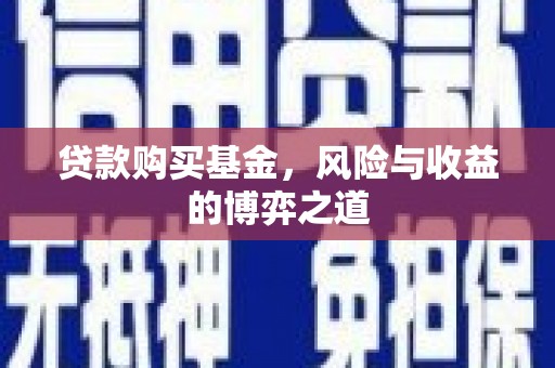 徐闻贷款购买基金，风险与收益的博弈之道
