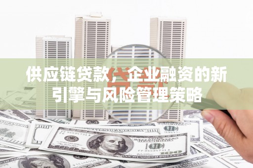 徐闻供应链贷款，企业融资的新引擎与风险管理策略