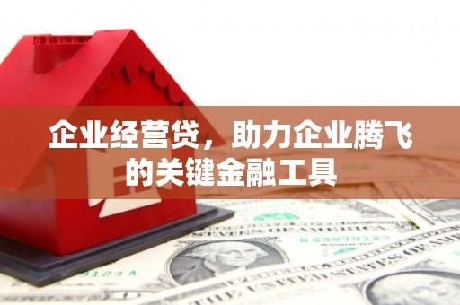 徐闻企业经营贷，助力企业腾飞的关键金融工具