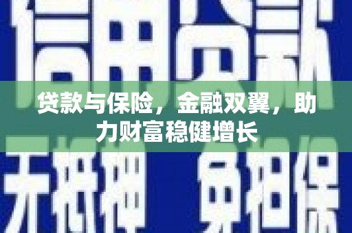 徐闻贷款与保险，金融双翼，助力财富稳健增长