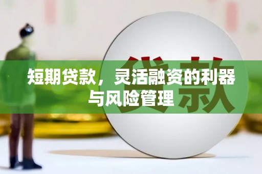 徐闻短期贷款，灵活融资的利器与风险管理