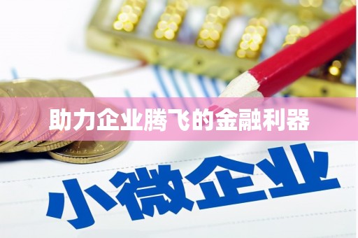 徐闻助力企业腾飞的金融利器