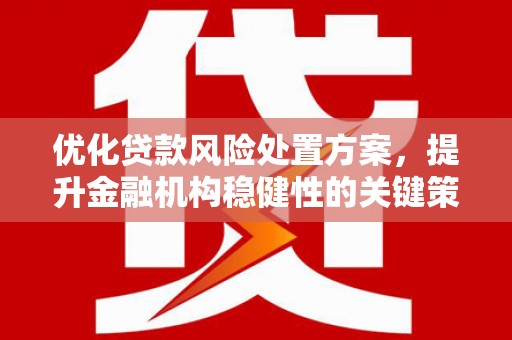 徐闻优化贷款风险处置方案，提升金融机构稳健性的关键策略