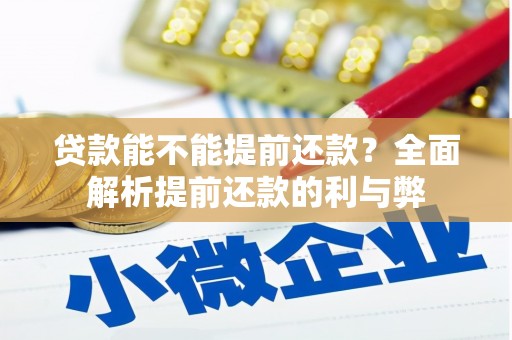 徐闻贷款能不能提前还款？全面解析提前还款的利与弊