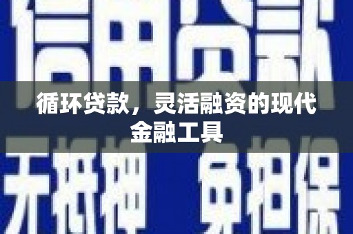 徐闻循环贷款，灵活融资的现代金融工具