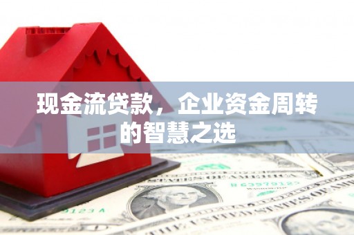 徐闻现金流贷款，企业资金周转的智慧之选