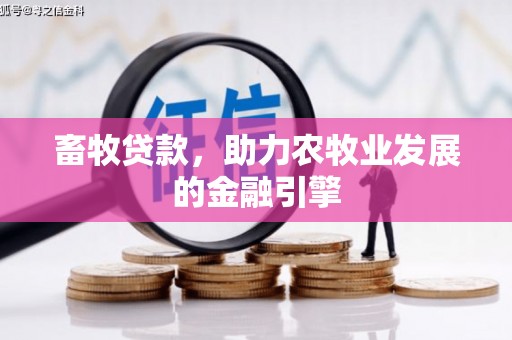 徐闻畜牧贷款，助力农牧业发展的金融引擎