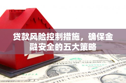 徐闻贷款风险控制措施，确保金融安全的五大策略