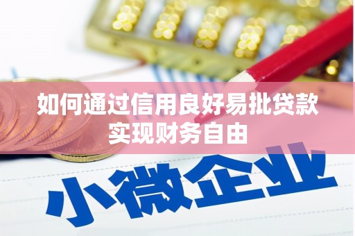徐闻如何通过信用良好易批贷款实现财务自由