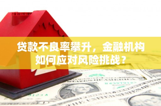 徐闻贷款不良率攀升，金融机构如何应对风险挑战？
