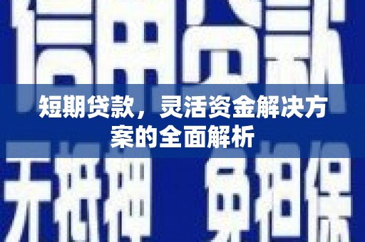 徐闻短期贷款，灵活资金解决方案的全面解析