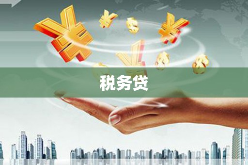 徐闻税务贷