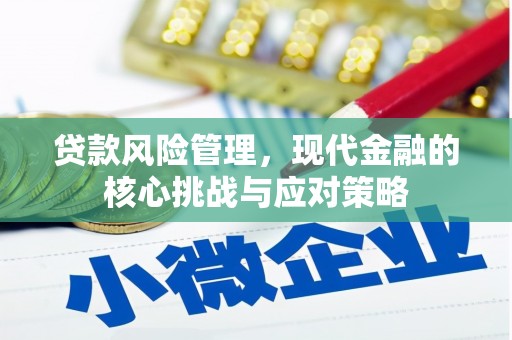 徐闻贷款风险管理，现代金融的核心挑战与应对策略