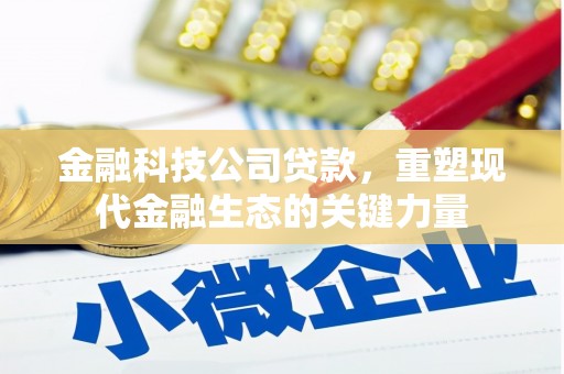 徐闻金融科技公司贷款，重塑现代金融生态的关键力量