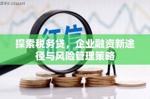 徐闻探索税务贷，企业融资新途径与风险管理策略