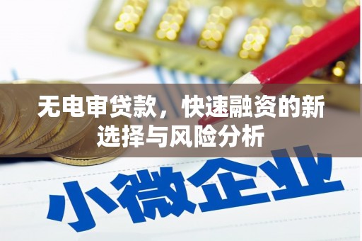 徐闻无电审贷款，快速融资的新选择与风险分析