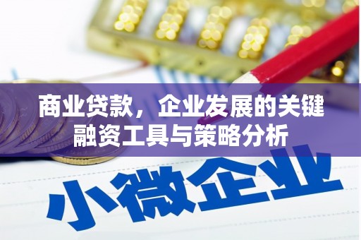 徐闻商业贷款，企业发展的关键融资工具与策略分析