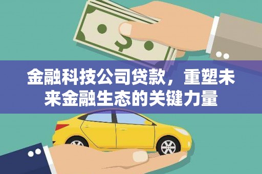 徐闻金融科技公司贷款，重塑未来金融生态的关键力量