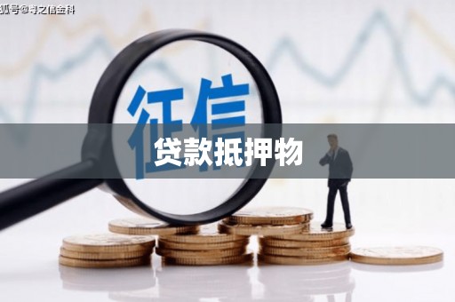 徐闻贷款抵押物