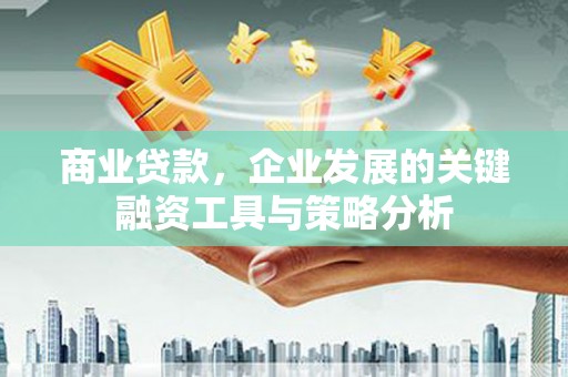 徐闻商业贷款，企业发展的关键融资工具与策略分析