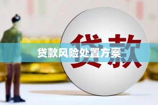 徐闻贷款风险处置方案