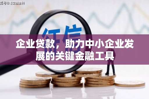 徐闻企业贷款，助力中小企业发展的关键金融工具