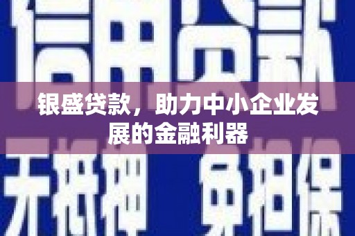 徐闻银盛贷款，助力中小企业发展的金融利器