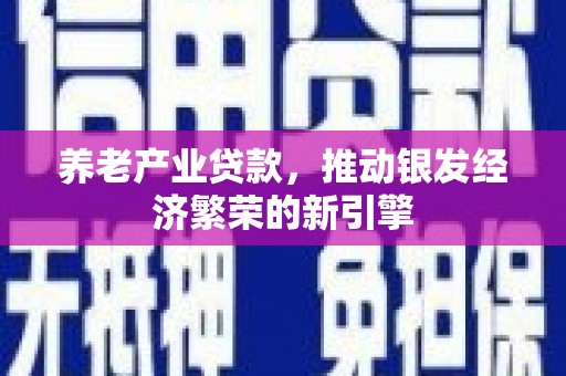 徐闻养老产业贷款，推动银发经济繁荣的新引擎