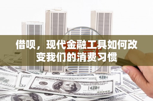徐闻借呗，现代金融工具如何改变我们的消费习惯