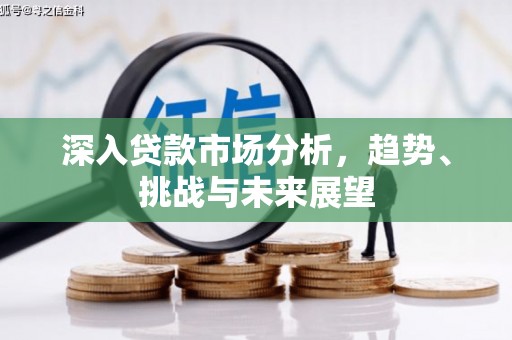 徐闻深入贷款市场分析，趋势、挑战与未来展望