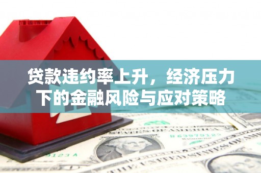徐闻贷款违约率上升，经济压力下的金融风险与应对策略