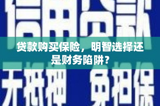 徐闻贷款购买保险，明智选择还是财务陷阱？