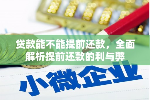 徐闻贷款能不能提前还款，全面解析提前还款的利与弊