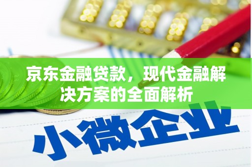 徐闻京东金融贷款，现代金融解决方案的全面解析