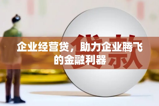徐闻企业经营贷，助力企业腾飞的金融利器