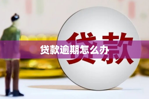 徐闻贷款逾期怎么办