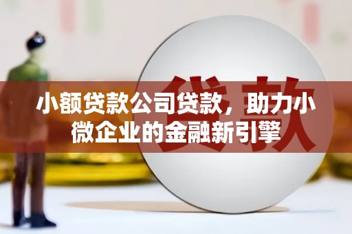 徐闻小额贷款公司贷款，助力小微企业的金融新引擎