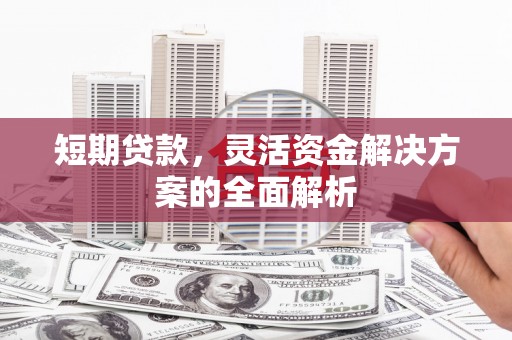 徐闻短期贷款，灵活资金解决方案的全面解析