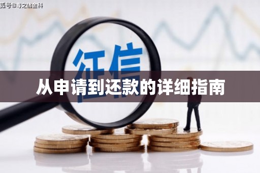 徐闻从申请到还款的详细指南